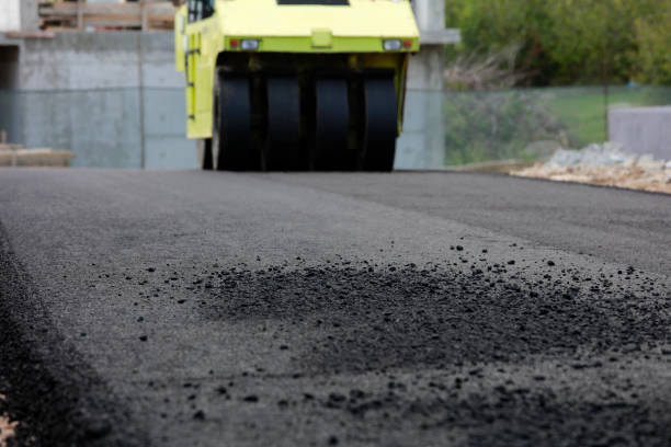 Best Best Driveway Pavers  in Amador Pines, CA