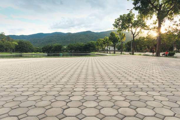 Best Brick Driveway Pavers  in Amador Pines, CA